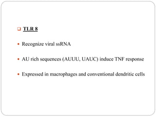  TLR 8
 Recognize viral ssRNA
 AU rich sequences (AUUU, UAUC) induce TNF response
 Expressed in macrophages and conventional dendritic cells
 