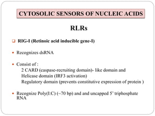 RLRs
 RIG-I (Retinoic acid inducible gene-I)
 Recognizes dsRNA
 Consist of :
2 CARD (caspase-recruiting domain)- like domain and
Helicase domain (IRF3 activation)
Regulatory domain (prevents constitutive expression of protein )
 Recognize Poly(I:C) (~70 bp) and and uncapped 5’ triphosphate
RNA
CYTOSOLIC SENSORS OF NUCLEIC ACIDS
 