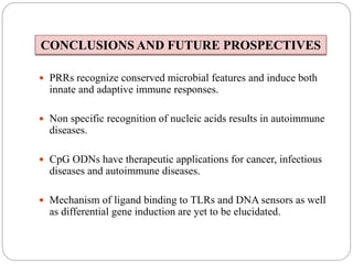  PRRs recognize conserved microbial features and induce both
innate and adaptive immune responses.
 Non specific recognition of nucleic acids results in autoimmune
diseases.
 CpG ODNs have therapeutic applications for cancer, infectious
diseases and autoimmune diseases.
 Mechanism of ligand binding to TLRs and DNA sensors as well
as differential gene induction are yet to be elucidated.
CONCLUSIONS AND FUTURE PROSPECTIVES
 