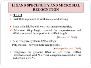  TLR 3
 First TLR implicated in viral nucleic acid sensing
 Binds with dsRNA with very less sequence specificty
 Minimum 40bp length required for responsiveness and
affinity increased in proportion to dsRNA length
(Botos et al., 2009)
 Also recognize synthetic RNA analogs:
Poly inosine – poly cytidylic acid [poly(I:C)]
(Alexopoulou et al., 2001)
 Recognizes the genomic DNA of Reo virus, dsRNA
intermediates of West Nile virus, encephalomyocarditis virus
and certain siRNAs
LIGAND SPECIFICITY AND MICROBIAL
RECOGNITION
 