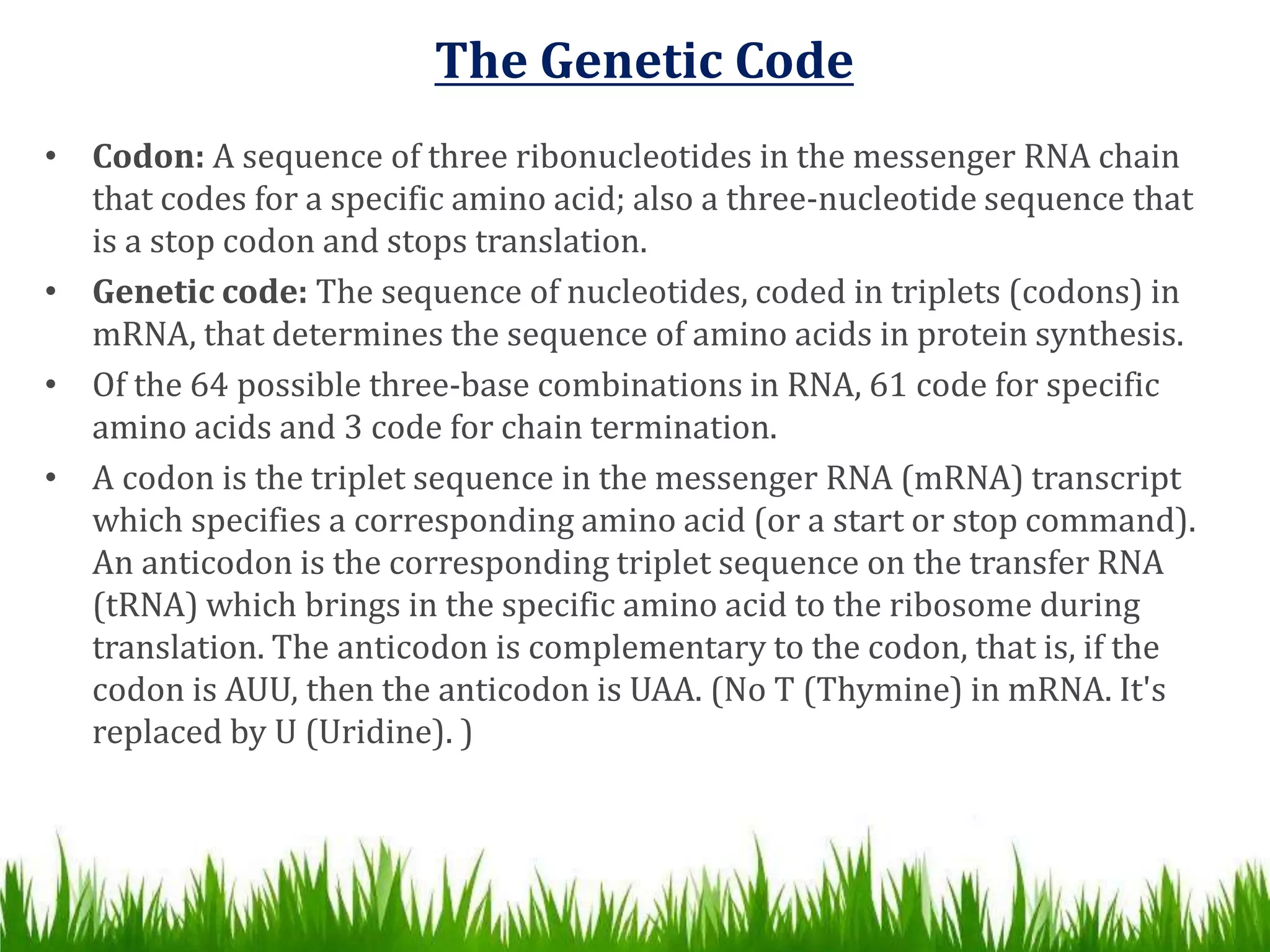 Nucleic acids 1 | PPT
