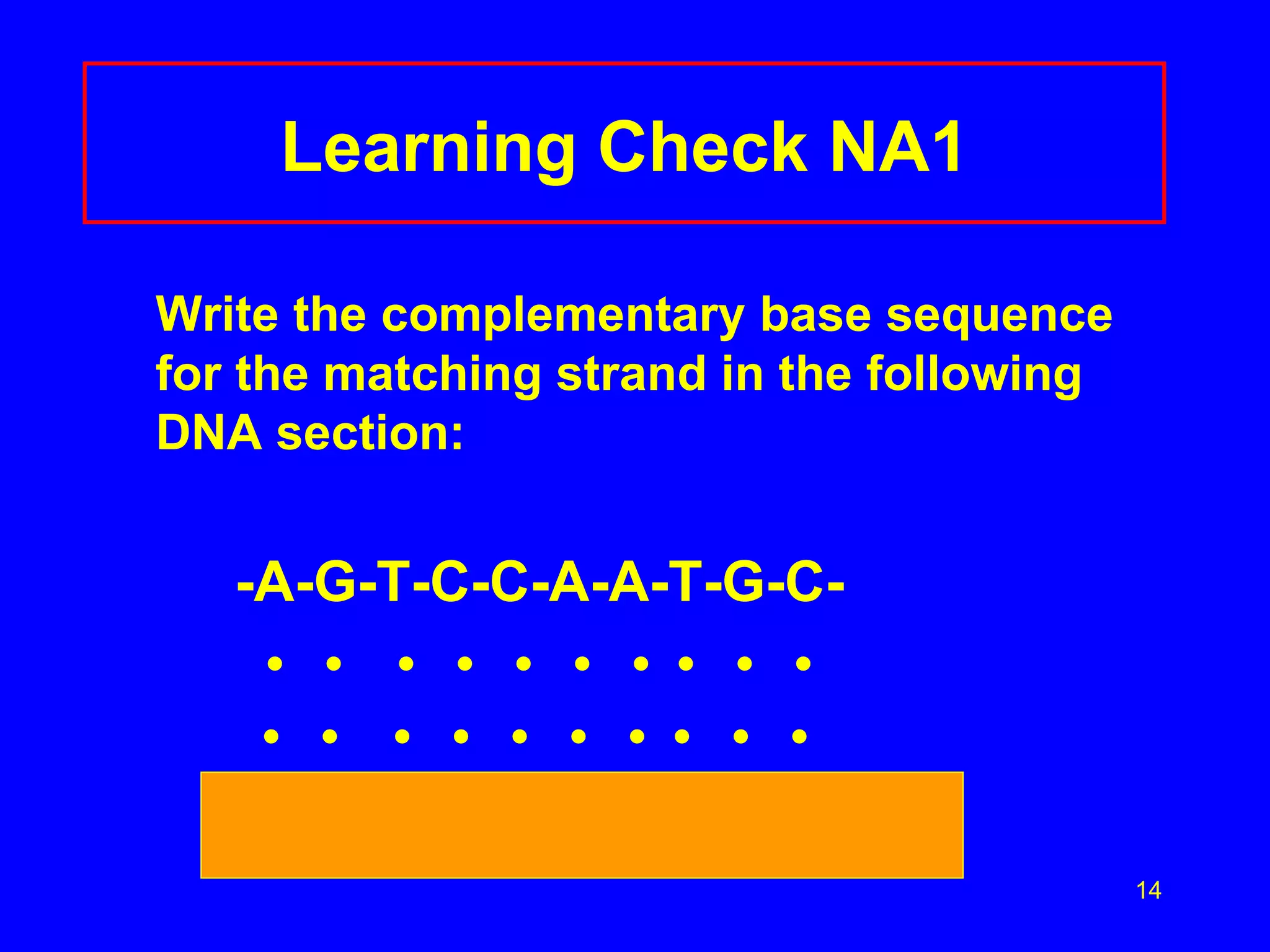 Learning Check NA1 Write the complementary base sequence for the matching strand in the following DNA section: -A-G-T-C-C-A-A-T-G-C-   •  •  •  •  •  •  •  •  •  •   •  •  •  •  •  •  •  •  •  • 