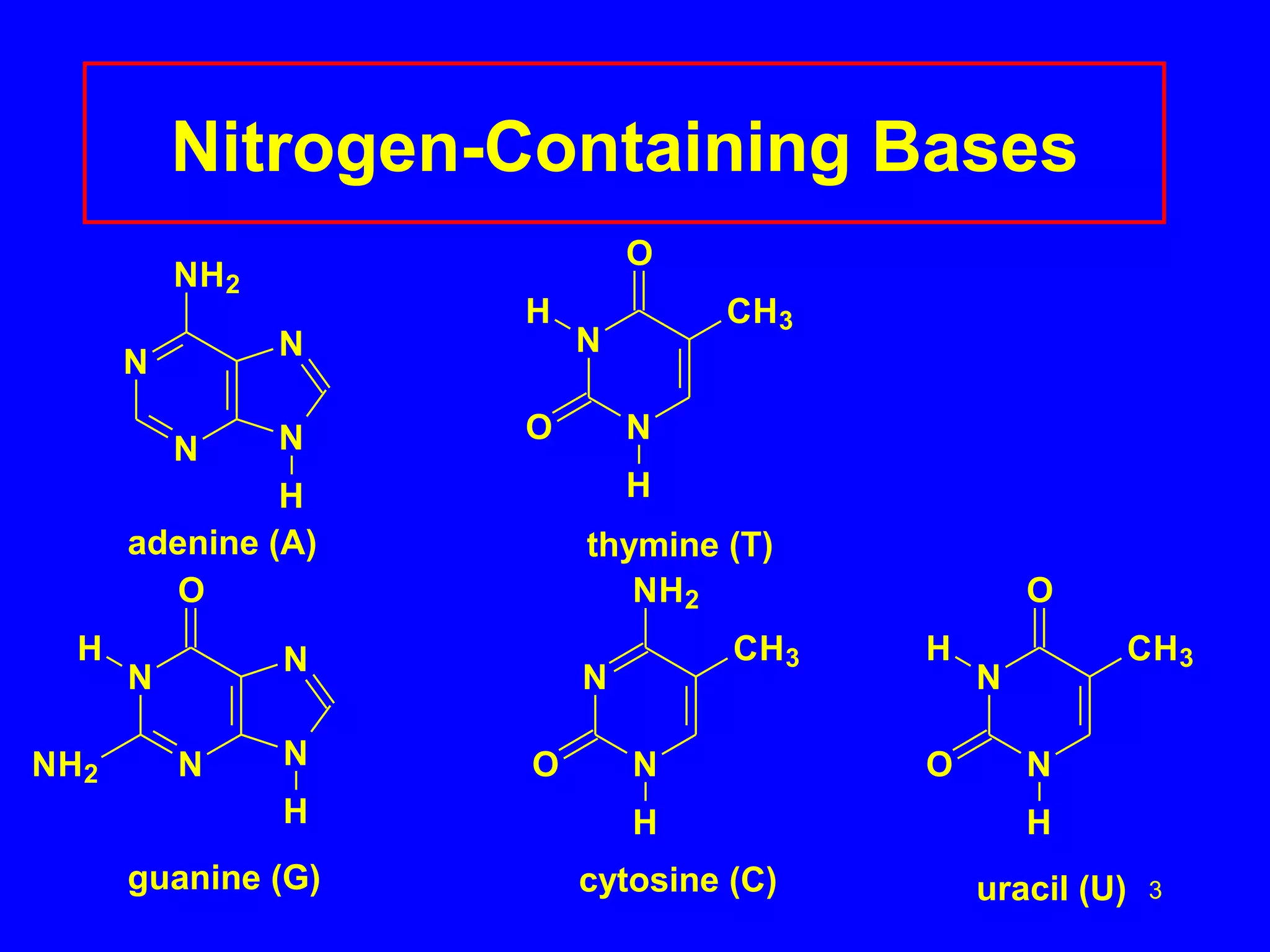 Nitrogen-Containing Bases 