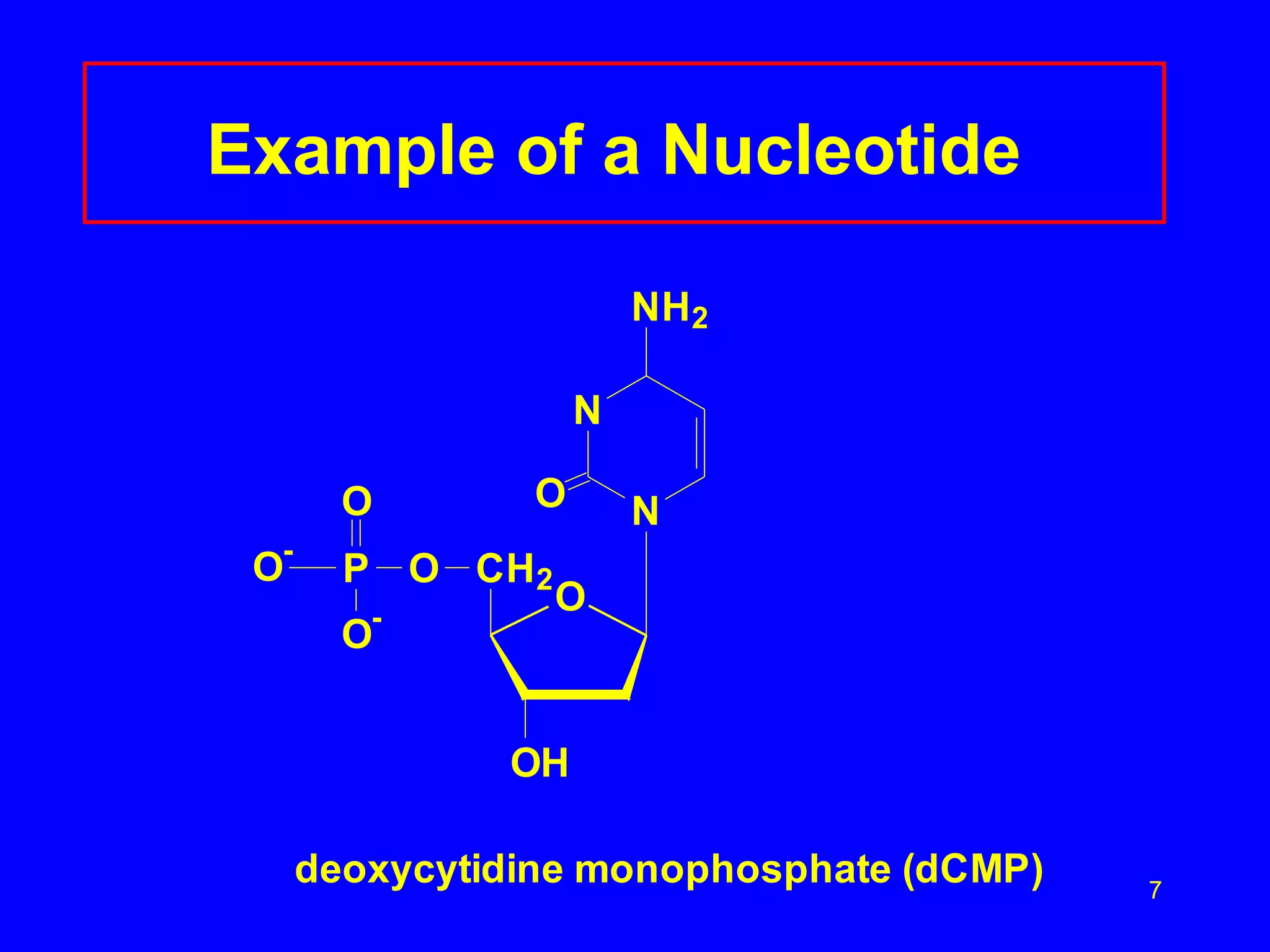 Example of a Nucleotide   