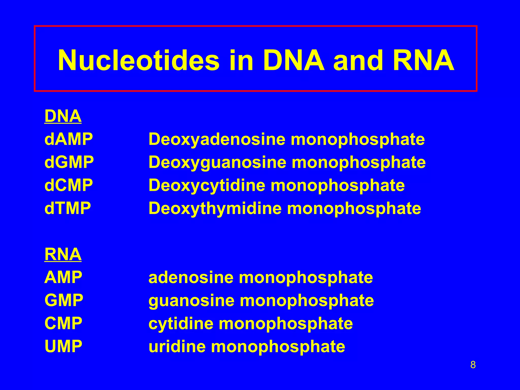 Nucleotides in DNA and RNA DNA dAMP Deoxyadenosine monophosphate dGMP Deoxyguanosine monophosphate dCMP Deoxycytidine monophosphate dTMP Deoxythymidine monophosphate RNA AMP adenosine monophosphate GMP guanosine monophosphate CMP cytidine monophosphate UMP uridine monophosphate 