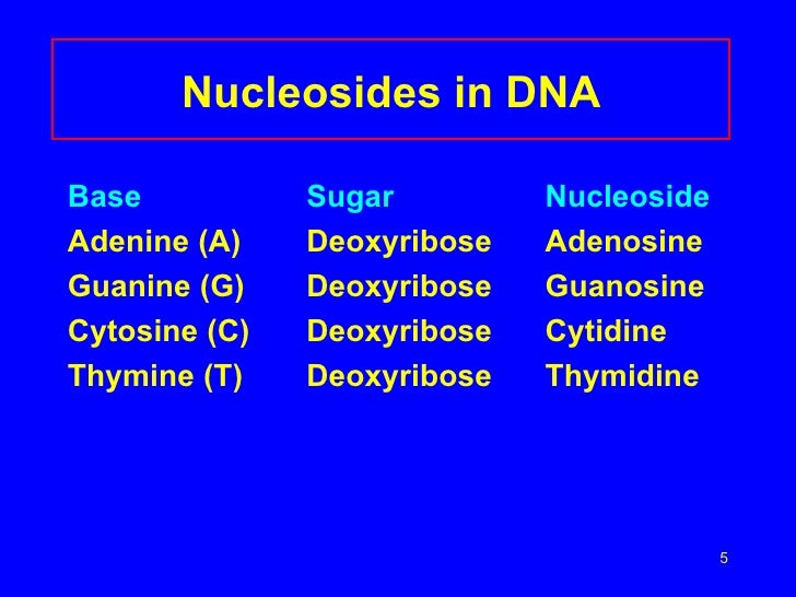 Nucleic acids