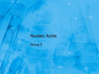 Nucleic Acids
Group 5
 