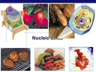 Nucleic acids




AP Biology                   2006-2007
 