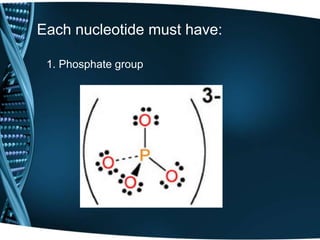 Each nucleotide must have:
1. Phosphate group

 