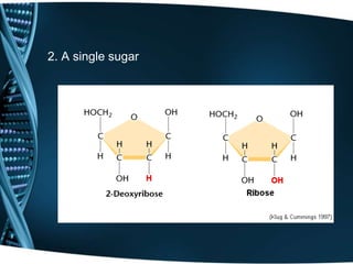 2. A single sugar

 