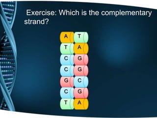 Exercise: Which is the complementary
strand?
A

T

T

A

C

G

C

G

G

C

C

G

T

A

 