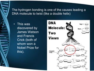 The hydrogen bonding is one of the causes leading a
DNA molecule to twist (like a double helix)

• This was
discovered by
James Watson
and Francis
Crick (both of
whom won a
Nobel Prize for
this).

 