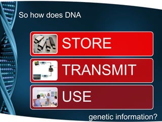 So how does DNA

STORE
TRANSMIT

USE
genetic information?

 