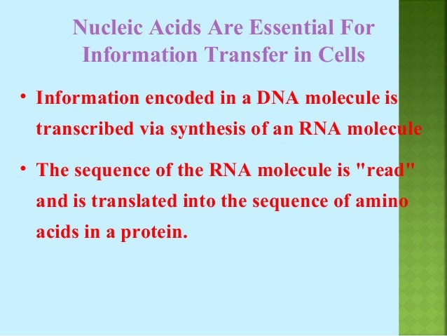 read introduction to molecular biology