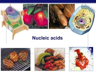 AP Biology 2006-2007
Nucleic acids
 