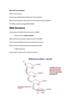 RNA and Transcription:
DNA is inthe nucleus
Proteinsare synthesizedonribosomesinthe cytoplasm
RNA carriesthe geneticinformationfromthe nucleustothe cytoplasm
ThisRNA iscalledmessengerRNA (mRNA)
RNA Structure
Transcriptionof a DNA molecule resultsinamRNA
molecule thatis single-stranded.
RNA moleculesdonothave a regularstructure like DNA.
The structuresof RNA moleculesare complexandunique.
RNA moleculescanbase pairwithcomplementary DNA
or RNA sequences.
G pairswithC,A pairs withU, andG pairswithU.
 