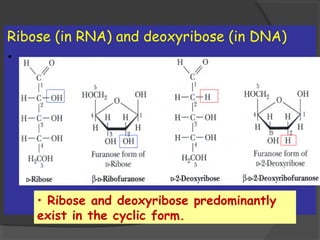 Nucleic acids | PPT