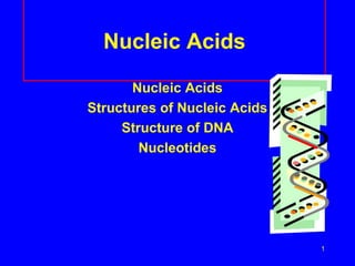 1
Nucleic Acids
Nucleic Acids
Structures of Nucleic Acids
Structure of DNA
Nucleotides
 