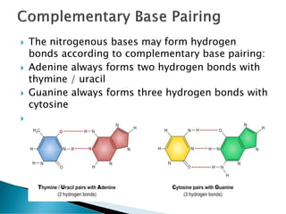  The nitrogenous bases may form hydrogen
bonds according to complementary base pairing:
 Adenine always forms two hydrogen bonds with
thymine / uracil
 Guanine always forms three hydrogen bonds with
cytosine

 