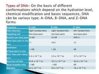  .
Properties A-DNA B-DNA Z-DNA
Helix direction right-handed helix right-handed helix left-handed helix
Repeating unit One base pairs one base pairs two base pairs
Rotation per base pairs 33.6Å 35.9Å 60Å/2
Mean base pairs in one
turn
11 10.5 12
Inclination
of base pairs to axis
+19Å 1.2Å 9Å
Rise/ base pairs along
axis
2.4 x 10-10 m 3.4 x 10-10 m 3.7 x 10-10 m
Rise/turn of helix 24.6 x 10-10 m 33.2 x 10-10 m 45.6 x 10-10 m
Mean propeller twist +18Å +16Å 0Å
Diameter 23 x 10-10 m 20 x 10-10 m 18 x 10-10 m
 