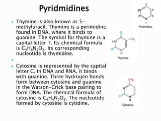  Thymine is also known as 5-
methyluracil. Thymine is a pyrimidine
found in DNA, where it binds to
guanine. The symbol for thymine is a
capital letter T. Its chemical formula
is C5H6N2O2. Its corresponding
nucleotide is thymidine.

 Cytosine is represented by the capital
letter C. In DNA and RNA, it binds
with guanine. Three hydrogen bonds
form between cytosine and guanine
in the Watson-Crick base pairing to
form DNA. The chemical formula of
cytosine is C4H4N2O2. The nucleotide
formed by cytosine is cytidine.
Pyridmidines
 