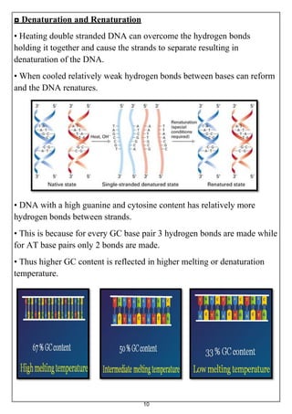 10
◘ Denaturation and Renaturation
• Heating double stranded DNA can overcome the hydrogen bonds
holding it together and cause the strands to separate resulting in
denaturation of the DNA.
• When cooled relatively weak hydrogen bonds between bases can reform
and the DNA renatures.
• DNA with a high guanine and cytosine content has relatively more
hydrogen bonds between strands.
• This is because for every GC base pair 3 hydrogen bonds are made while
for AT base pairs only 2 bonds are made.
• Thus higher GC content is reflected in higher melting or denaturation
temperature.
 