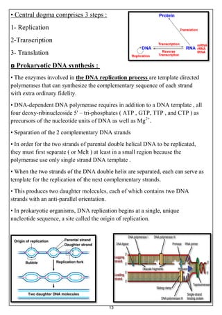13
• Central dogma comprises 3 steps :
1- Replication
2-Transcription
3- Translation
Prokaryotic DNA synthesis :◘
• The enzymes involved in the DNA replication process are template directed
polymerases that can synthesize the complementary sequence of each strand
with extra ordinary fidelity.
• DNA-dependent DNA polymerase requires in addition to a DNA template , all
four deoxy-ribinucleoside 5' – tri-phosphates ( ATP , GTP, TTP , and CTP ) as
precursors of the nucleotide units of DNA as well as Mg2+
.
• Separation of the 2 complementary DNA strands
• In order for the two strands of parental double helical DNA to be replicated,
they must first separate ( or Melt ) at least in a small region because the
polymerase use only single strand DNA template .
• When the two strands of the DNA double helix are separated, each can serve as
template for the replication of the next complementary strands.
• This produces two daughter molecules, each of which contains two DNA
strands with an anti-parallel orientation.
• In prokaryotic organisms, DNA replication begins at a single, unique
nucleotide sequence, a site called the origin of replication.
 