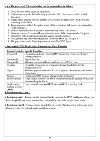 16
◘ ♦ ◘ The process of DNA replication can be summarized as follows:
1. DNA unwinds at the origin of replication.
2. Helicase opens up the DNA-forming replication forks; these are extended in both
directions.
3. Single-strand binding proteins coat the DNA around the replication fork to prevent
rewinding of the DNA.
4. Topoisomerase binds at the region ahead of the replication fork to prevent supercoiling
(over-winding).
5. Primase synthesizes RNA primers complementary to the DNA strand.
6. DNA polymerase III starts adding nucleotides to the 3′-OH (sugar) end of the primer.
7. Elongation of both the lagging and the leading strand continues.
8. RNA primers are removed and gaps are filled with DNA by DNA pol I.
9. The gaps between the DNA fragments are sealed by DNA ligase.
◘ Prokaryotic DNA Replication: Enzymes and Their Function
Specific FunctionEnzyme/protein
Exonuclease activity removes RNA primer and replaces with newly
synthesized DNA
DNA pol I
Repair functionDNA pol II
Main enzyme that adds nucleotides in the 5′-3′ directionDNA pol IIl
Opens the DNA helix by breaking hydrogen bonds between the
nitrogenous bases
Helicase
Seals the gaps between the Okazaki fragments to create one continuous
DNA strand
Ligase
Synthesizes RNA primers needed to start replicationPrimase
Helps relieve the stress on DNA when unwinding by causing breaks and
then resealing the DNA
Topoisomerase
Binds to single-stranded DNA to avoid DNA rewinding back.Single-strand
binding proteins
(SSB)
♣ Topoisomerase types :
◘ Topoisomerase l : Produce single stranded breaks in one of the DNA backbones, allows one
of the phosphodiester bonds to rotate freely around the other relieving tortional stress .
◘ Topoisomerase ll : Produce double stranded breals in the DNA backbone at the same tome.
-This is necessary to untangle replicated chromosomes .
 