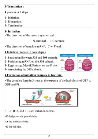 26
3-Translation :
♦ process in 3 steps :
1- Initiation.
2- Elongation.
3- Termination.
1- Initiation.
• The direction of the protein synthesized
N-terminal C-terminal
• The direction of template mRNA 5' 3' end.
♦ Initiation Process : ( Four steps )
1- Separation Between 50S and 30S subunit.
2- Positioning mRNA on the 30S subunit.
3- Registering fMet-tRNAimet on the P site.
4- Associating the 50S subunit.
♦ Formation of initiation complex in bacteria:
• The complex form in 3 steps at the expense of the hydrolysis of GTP to
GDP and Pi.
• IF-1, IF-3, and IF-3 are initiation factors.
• P designates the peptidyl site.
• A the aminoacyl site.
• E the exit site.
 