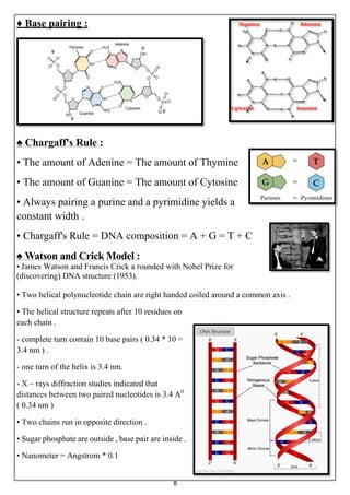 8
♦ Base pairing :
♠ Chargaff's Rule :
• The amount of Adenine = The amount of Thymine
• The amount of Guanine = The amount of Cytosine
• Always pairing a purine and a pyrimidine yields a
constant width .
• Chargaff's Rule = DNA composition = A + G = T + C
♠ Watson and Crick Model :
• James Watson and Francis Crick a rounded with Nobel Prize for
(discovering) DNA structure (1953).
• Two helical polynucleotide chain are right handed coiled around a common axis .
• The helical structure repeats after 10 residues on
each chain .
- complete turn contain 10 base pairs ( 0.34 * 10 =
3.4 nm ) .
- one turn of the helix is 3.4 nm.
- X – rays diffraction studies indicated that
distances between two paired nucleotides is 3.4 A0
( 0.34 nm )
• Two chains run in opposite direction .
• Sugar phosphate are outside , base pair are inside .
• Nanometer = Angstrom * 0.1
 