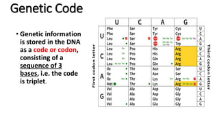 Chemistry of Nucleic acids | PDF