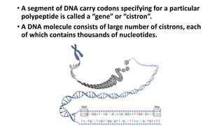 Chemistry of Nucleic acids | PDF