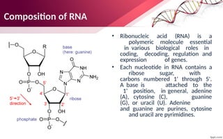 nucleicacids-201205063041 ......(1).pptx