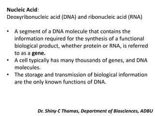 Nucleic Acid:
Deoxyribonucleic acid (DNA) and ribonucleic acid (RNA)
• A segment of a DNA molecule that contains the
information required for the synthesis of a functional
biological product, whether protein or RNA, is referred
to as a gene.
• A cell typically has many thousands of genes, and DNA
molecules.
• The storage and transmission of biological information
are the only known functions of DNA.
Dr. Shiny C Thomas, Department of Biosciences, ADBU
 