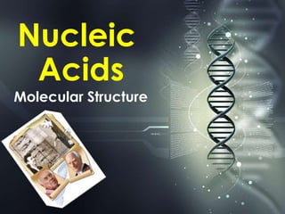 Nucleic
Acids
Molecular Structure
 