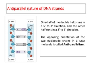 LECTURE I NUCLEOTIDES CHEMISTRY AND SIGNIFICANCE NUCLEIC ACIDS.pptx