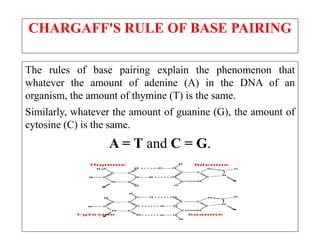 LECTURE I NUCLEOTIDES CHEMISTRY AND SIGNIFICANCE NUCLEIC ACIDS.pptx