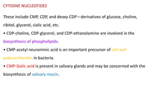 Cdp Ribitol NUCLEIC ACIDS for BSc Optometry (Bio-Chemistry) | PPTX