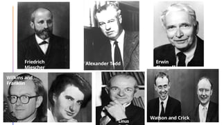 Alexander
Todd
Friedrich
Miescher
Alexander Todd Erwin
Chargaff
Wilkins and
Franklin
Linus
Watson and Crick
 