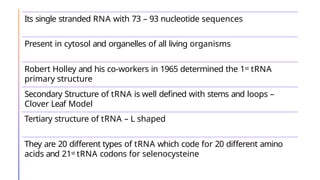 Its single stranded RNA with 73 – 93 nucleotide sequences
Present in cytosol and organelles of all living organisms
Robert Holley and his co-workers in 1965 determined the 1st tRNA
primary structure
Secondary Structure of tRNA is well defined with stems and loops –
Clover Leaf Model
Tertiary structure of tRNA – L shaped
They are 20 different types of tRNA which code for 20 different amino
acids and 21st tRNA codons for selenocysteine
 