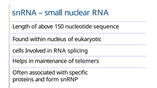 snRNA – small nuclear RNA
Length of above 150 nucleotide sequence
Found within nucleus of eukaryotic
cells Involved in RNA splicing
Helps in maintenance of telomers
Often associated with specific
proteins and form snRNP
 