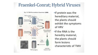 Biological Macromolecule - Nucleic Acids.pptx