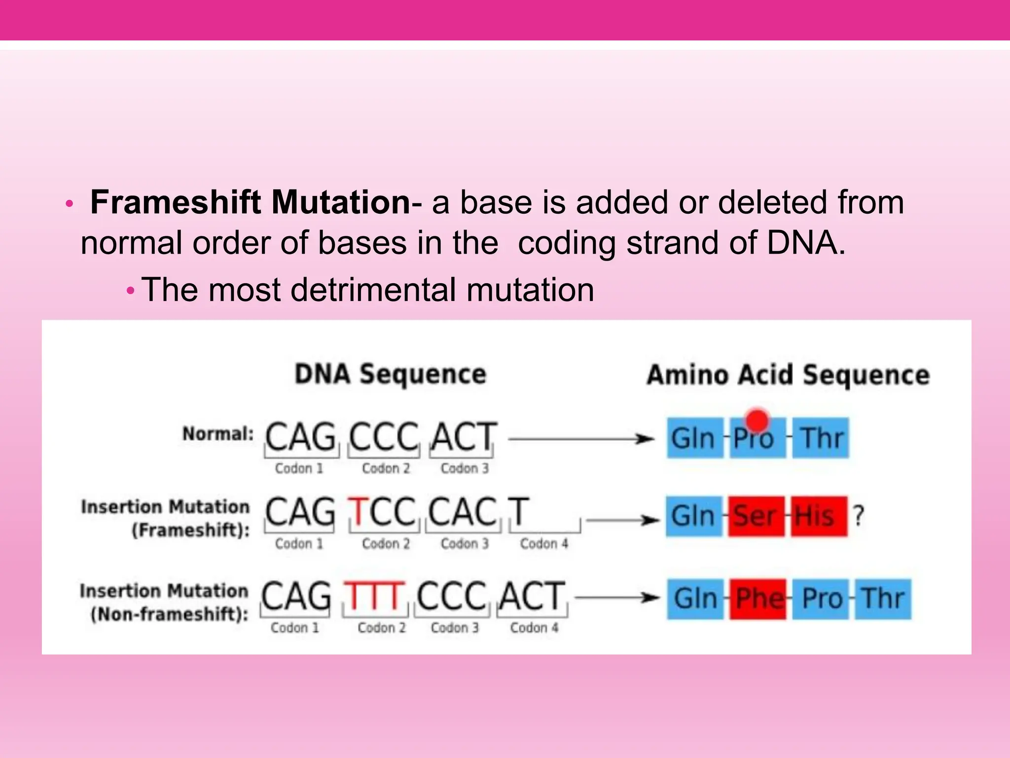 NUCLEIC ACIDS ( Types, Components, Structure) | PPT