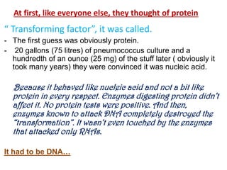 At first, like everyone else, they thought of protein
“ Transforming factor”, it was called.
- The first guess was obviously protein.
- 20 gallons (75 litres) of pneumococcus culture and a
hundredth of an ounce (25 mg) of the stuff later ( obviously it
took many years) they were convinced it was nucleic acid.
Because it behaved like nucleic acid and not a bit like
protein in every respect. Enzymes digesting protein didn’t
affect it. No protein tests were positive. And then,
enzymes known to attack DNA completely destroyed the
“transformation”. It wasn’t even touched by the enzymes
that attacked only RNAs.
It had to be DNA…
 