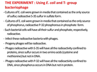 THE EXPERIMENT : Using E. coli and T- group
bacteriophage
-CulturesofE.coliweregrowninmediathatcontainedastheonlysource
ofsulfur,radioactiveS-35sulfurinsulfateform.
- CulturesofE.coliweregrowninmediathatcontainedastheonlysource
ofphosphorus,radioactiveP-32phosphorousinphosphate form.
-Suchbacterialcellswillhavealltheirsulfurandphosphate,respectively,
radioactive.
- Infecttheseradioactivebacteriawithphages.
- Progenyphageswillberadioactive.
- PhagesradioactivewithS-35willhavealltheradioactivityconfinedto
proteins,sincesulfuroccursintwoaminoacids(cysteineand
methionine)butnotinDNA.
- PhagesradioactivewithP-32willhavealltheradioactivityconfinedto
DNA,sincephosphorusoccursinDNAbutnotinprotein.
 