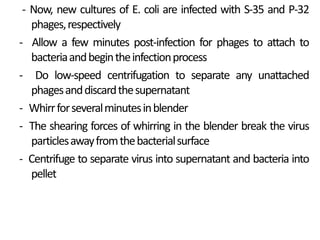 - Now, new cultures of E. coli are infected with S-35 and P-32
phages,respectively
- Allow a few minutes post-infection for phages to attach to
bacteriaandbegintheinfectionprocess
- Do low-speed centrifugation to separate any unattached
phagesanddiscardthesupernatant
- Whirrforseveralminutesinblender
- The shearing forces of whirring in the blender break the virus
particlesawayfromthebacterialsurface
- Centrifuge to separate virus into supernatant and bacteria into
pellet
 