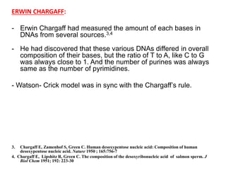 ERWIN CHARGAFF:
- Erwin Chargaff had measured the amount of each bases in
DNAs from several sources.3,4
- He had discovered that these various DNAs differed in overall
composition of their bases, but the ratio of T to A, like C to G
was always close to 1. And the number of purines was always
same as the number of pyrimidines.
- Watson- Crick model was in sync with the Chargaff‟s rule.
3. Chargaff E, Zamenhof S, Green C. Human desoxypentose nucleic acid: Composition of human
desoxypentose nucleic acid. Nature 1950 ; 165:756-7
4. Chargaff E, Lipshitz R, Green C. The composition of the desoxyribonucleic acid of salmon sperm. J
Biol Chem 1951; 192: 223-30
 