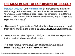 THE MOST BEAUTIFUL EXPERIMENT IN BIOLOGY
- Matthew Meselson and Franklin Stahl at the California institute of
technology performed an experiment that James Watson called
“CLASSIC” , and Watson‟s predecessor as director of Cold Spring
Harbor, John Cairns, called, without qualification, “the most beautiful
experiment in biology”.
- There were 3 hypothesis of DNA structure, floating around, one of
them being Watson and Crick‟s SEMICONSERVATIVE hypothesis.
- They published their report in 19585, and this was the experiment
that consolidated Watson- Crick model .
- It is also famous for the invention of new technique called
DENSITY GRADIENT CENTRIFUGATION.
5. Messleson M, Stahl FW. The replication of DNA in Escherechia coli. Proc Natl Acad Sci 1958; 44: 671-82.
 