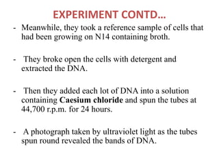 EXPERIMENT CONTD…
- Meanwhile, they took a reference sample of cells that
had been growing on N14 containing broth.
- They broke open the cells with detergent and
extracted the DNA.
- Then they added each lot of DNA into a solution
containing Caesium chloride and spun the tubes at
44,700 r.p.m. for 24 hours.
- A photograph taken by ultraviolet light as the tubes
spun round revealed the bands of DNA.
 