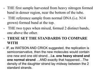 - THE first sample harvested from heavy nitrogen formed
band in denser region, near the bottom of the tube.
- THE reference sample from normal DNA (i.e. N14
grown) formed band at the top.
- THE two types when mixed, formed 2 distinct bands,
one above the other.
- THESE SET THE STANDARDS TO COMPARE
WITH
- IF, as WATSON AND CRICK suggested, the replication is
semiconservative, then the new molecules would contain
one new and one old strand…i.e. one heavy strand and
one normal strand …AND exactly that happened…The
density of the daughter strand lay midway between the 2
standard strands.
 